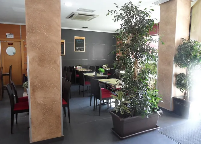 호텔 알파게메 2*